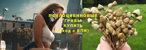 спайс Ельня