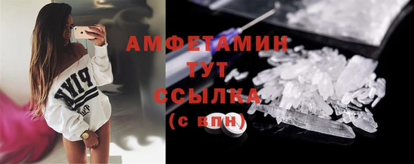 шишки Елизово