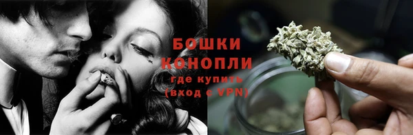 спайс Ельня