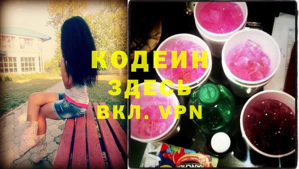 спайс Ельня