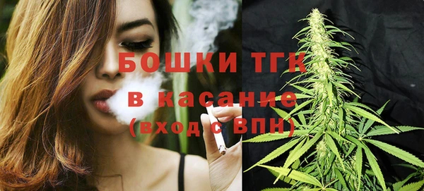спайс Ельня