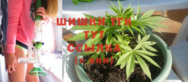 шишки Елизово