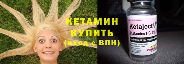 шишки Елизово