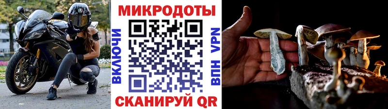 Купить где  Абинск  Галлюциногенные грибы мухоморы 